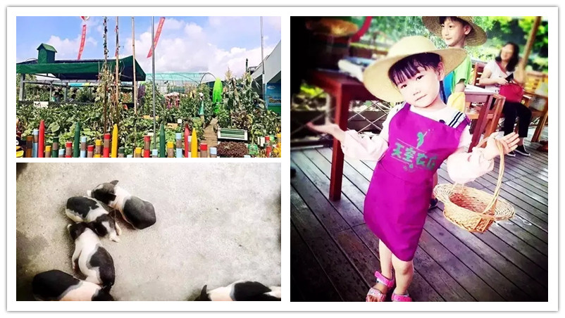 BBunion国际早教深圳中心活动花絮：户外课堂精彩回顾