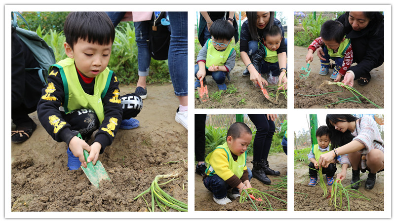 BBunion国际早教厦门世贸中心:植树节户外体验 BBunion国际早教厦门世贸中心:植树节户外体验